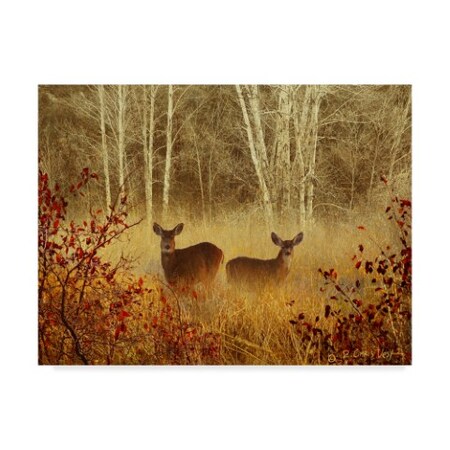 Trademark Fine Art Chris Vest 'Foggy Deer' Canvas Art, 24x32 WAG02864-C2432GG